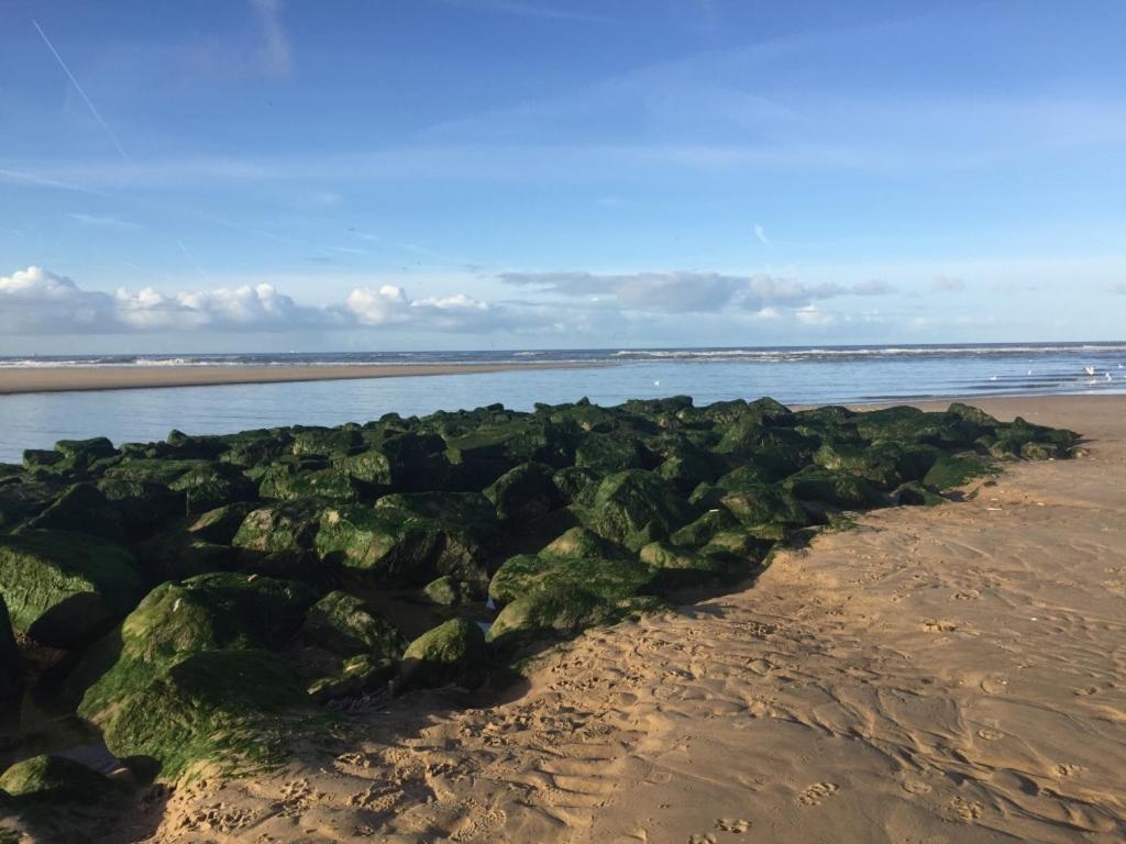 Zoute Zeelucht Bed and Breakfast Katwijk aan Zee Exteriör bild